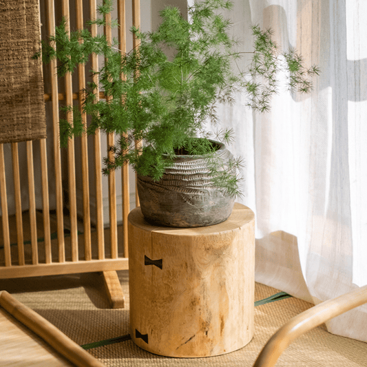 Pine Wood Pedestal Table Side Table - Armand’s Maison & Marché