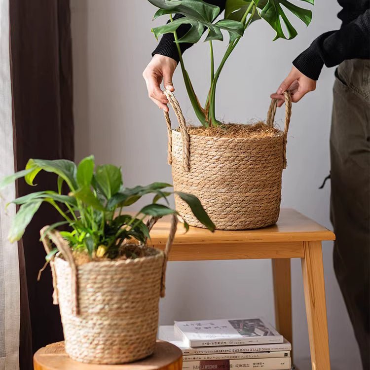 French Country Woven Planter Basket - Armand’s Maison & Marché