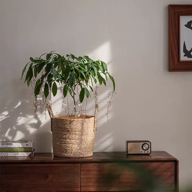 French Country Woven Planter Basket - Armand’s Maison & Marché