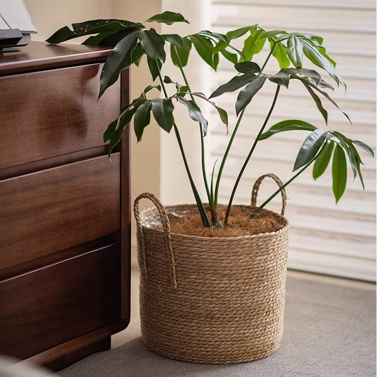 French Country Woven Planter Basket - Armand’s Maison & Marché