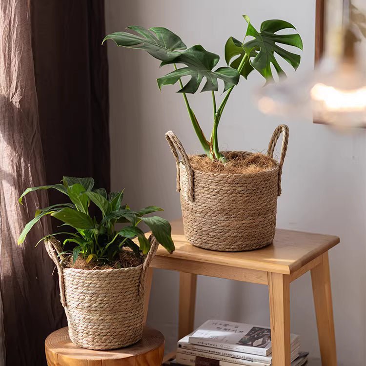 French Country Woven Planter Basket - Armand’s Maison & Marché