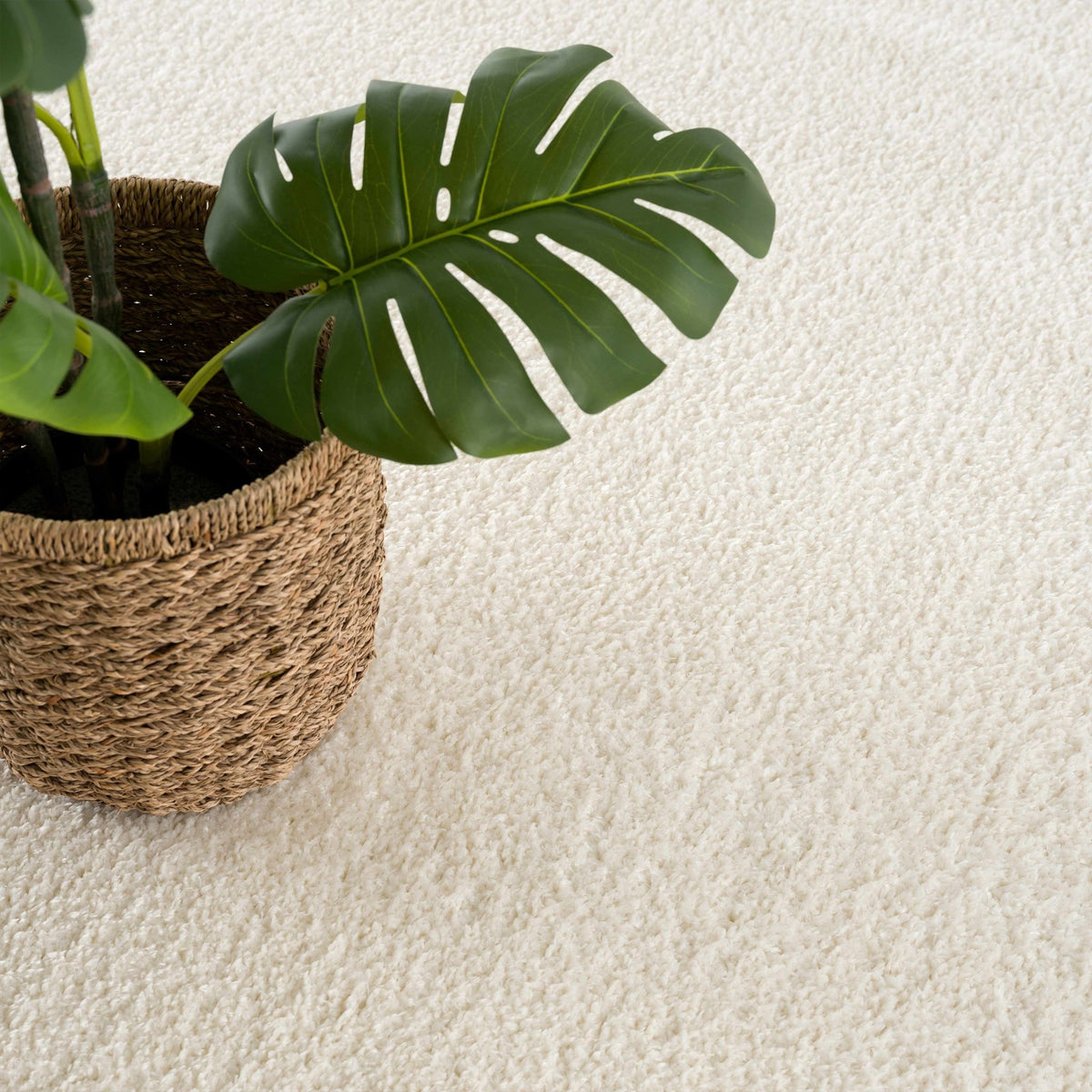 Judy White Washable Area Rug - Clearance - Armand’s Maison & Marché