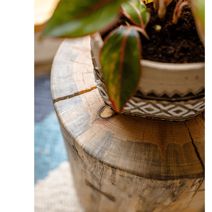 Pine Wood Pedestal Table Side Table - Armand’s Maison & Marché